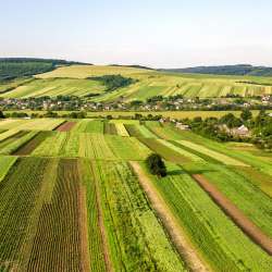 landscapes