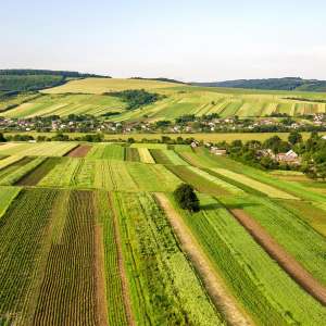 landscapes